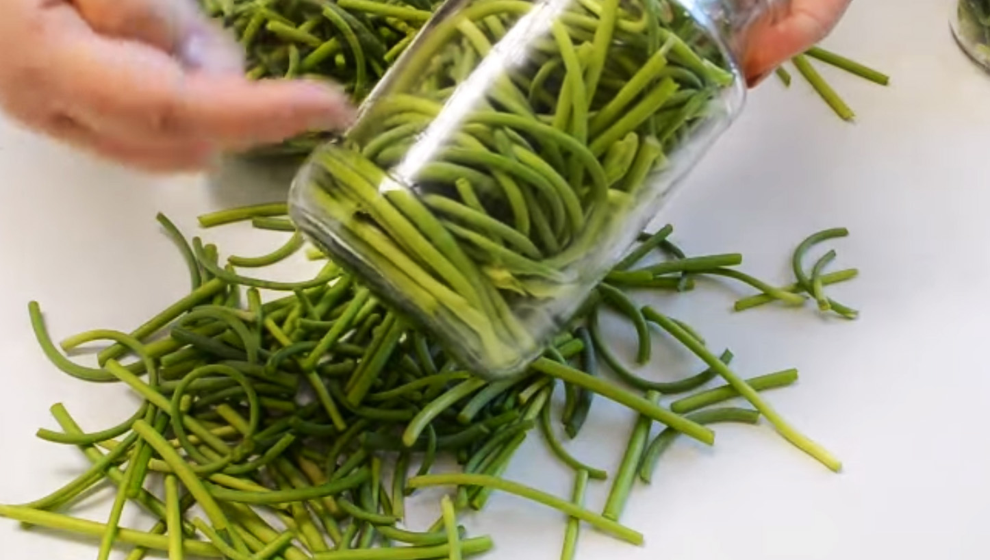 Стрелки чеснока маринованные